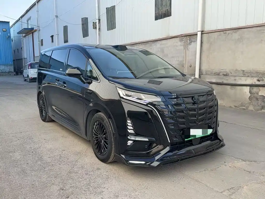 Denza Denza D9 — миниатюра 2