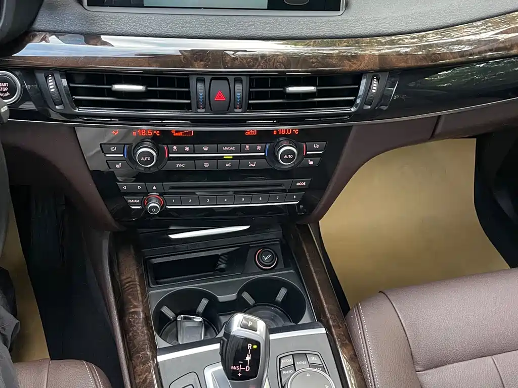 BMW X5 (Import) xDrive35i Leading Type, фото 13