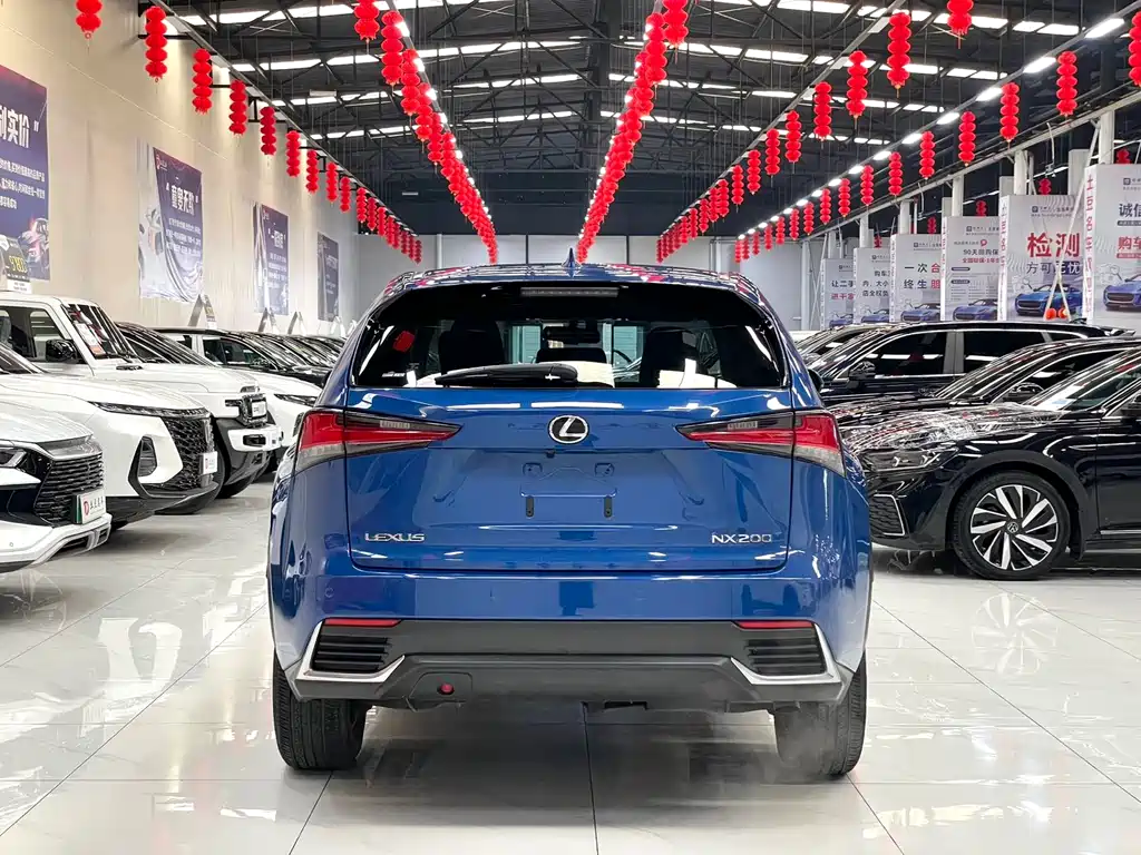 LEXUS NX