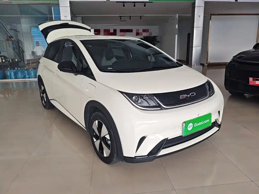 BYD Dolphin — миниатюра 4