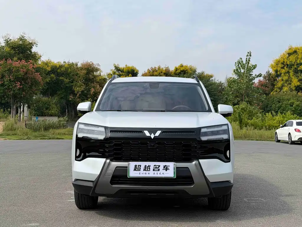 Wuling Xingguang 560 New Energy — миниатюра 2