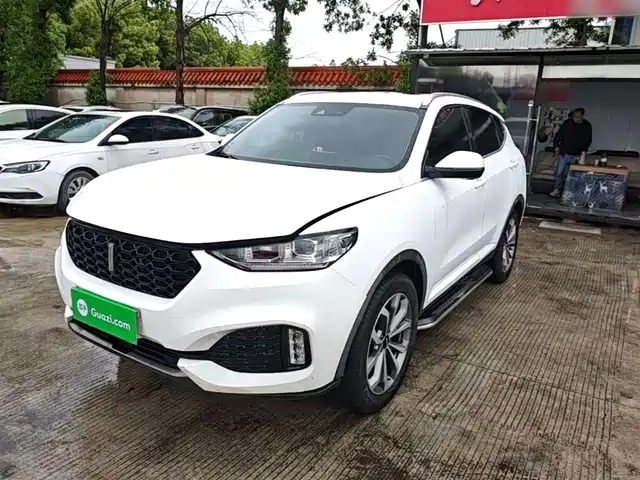 2019 Wey VV6