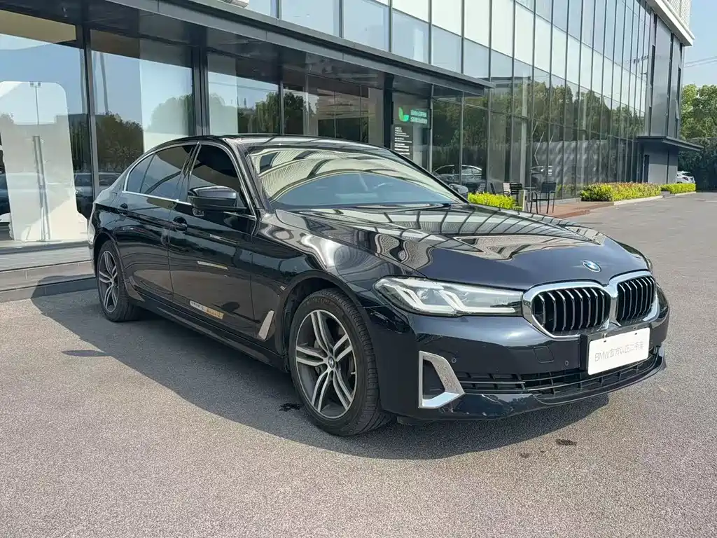 BMW 5 Series 5 2021 530Li Lead Luxury