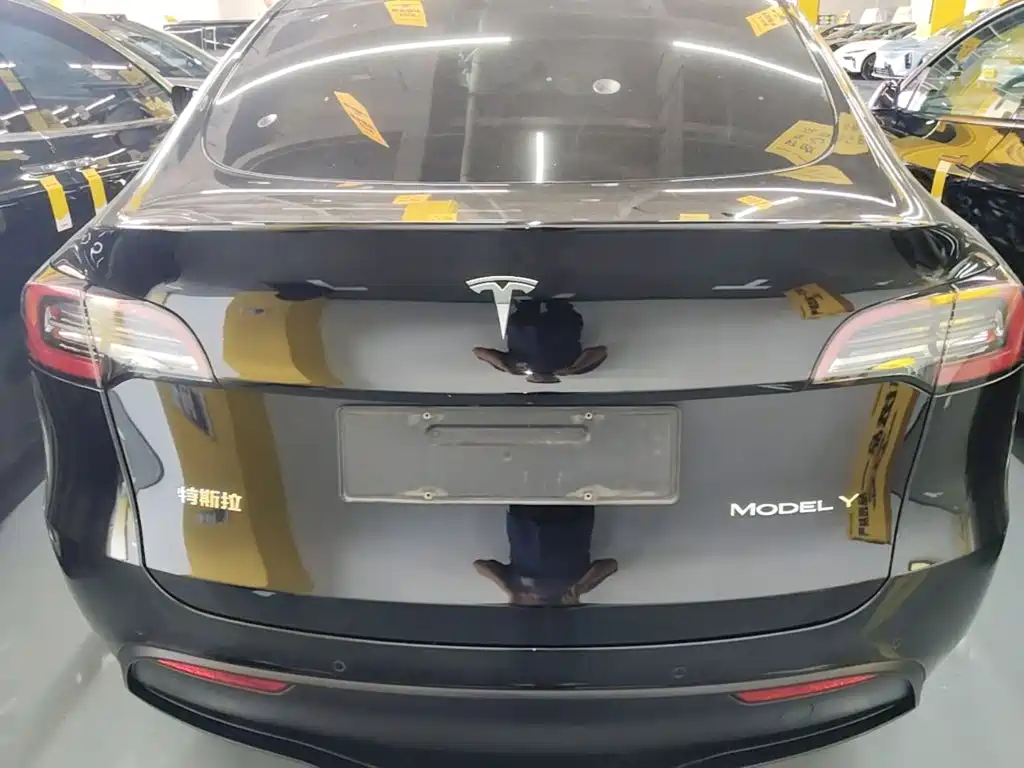 Tesla Model Y — миниатюра 6