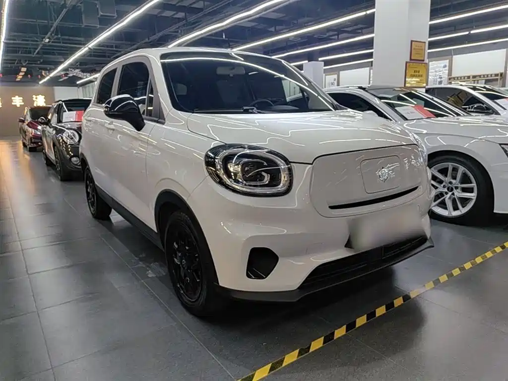 Leapmotor T03 2025 310
