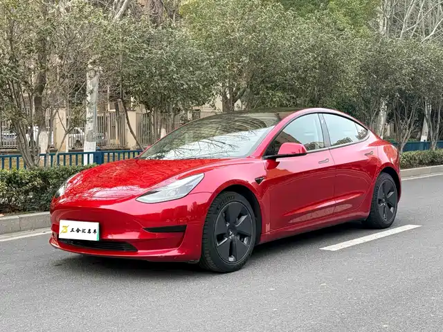 TESLA MODEL 3 2021