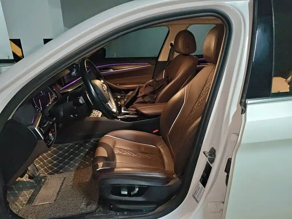 BMW 5 Series 5 2019 530Li Lead Luxury