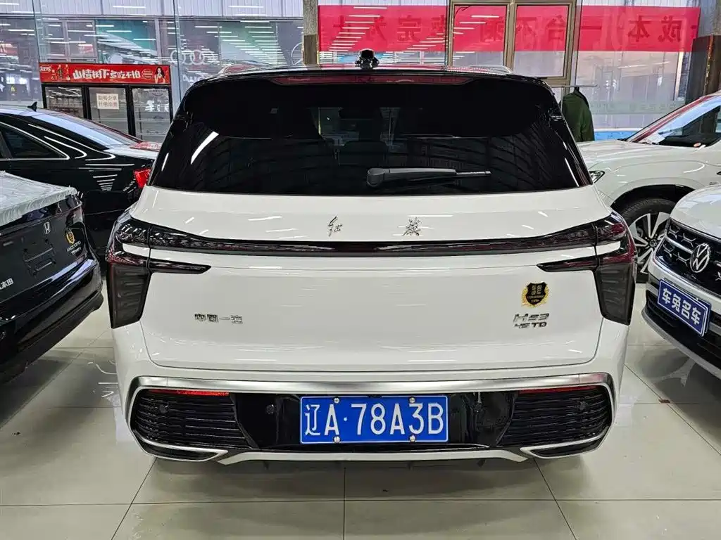 Hongqi HS3 2.0T 4WD Aspire Edition, фото 4