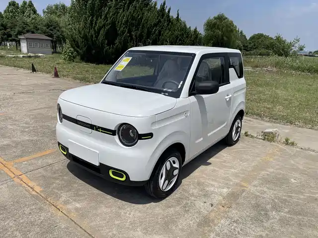 2026 Geely LC (Panda)
