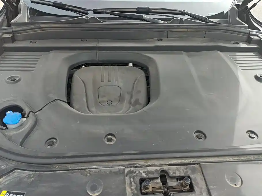 WEI PAI WEI BRAND BLUE MOUNTAIN