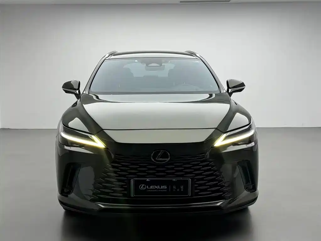 LEXUS RX NEW ENERGY