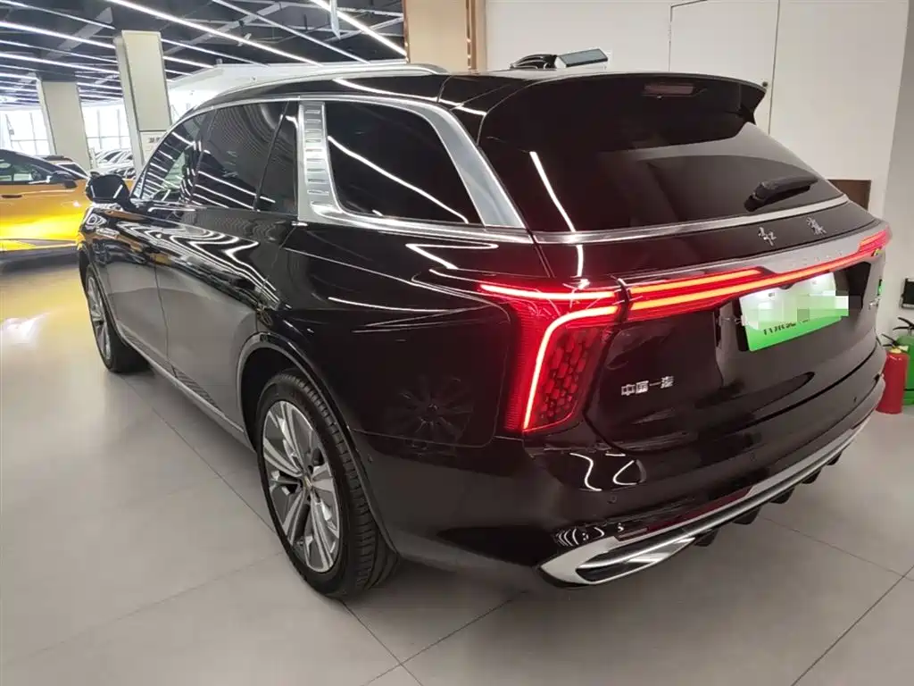 Hongqi E-HS9 2022 690km мест