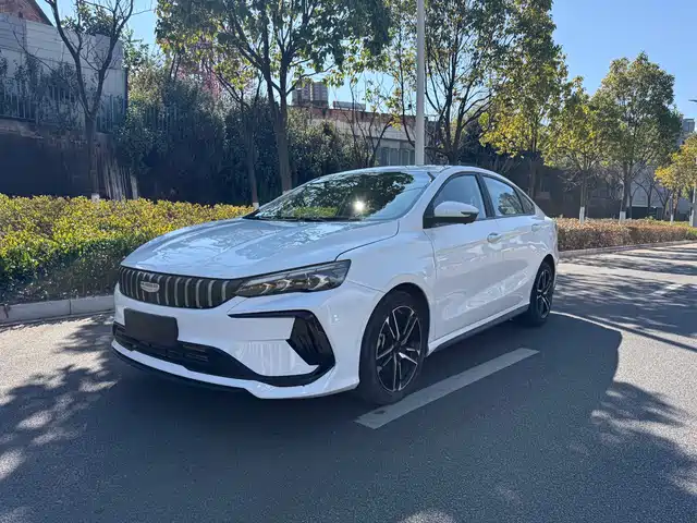 2024 Geely Binrui