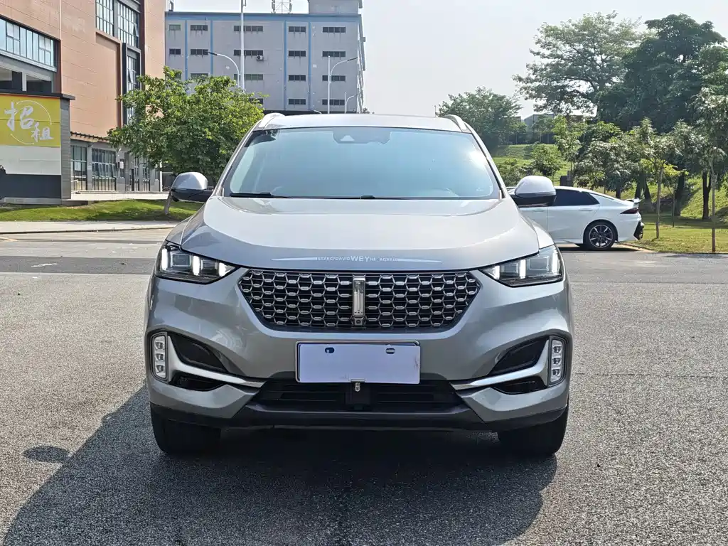 Wey Wey VV6 — миниатюра 2