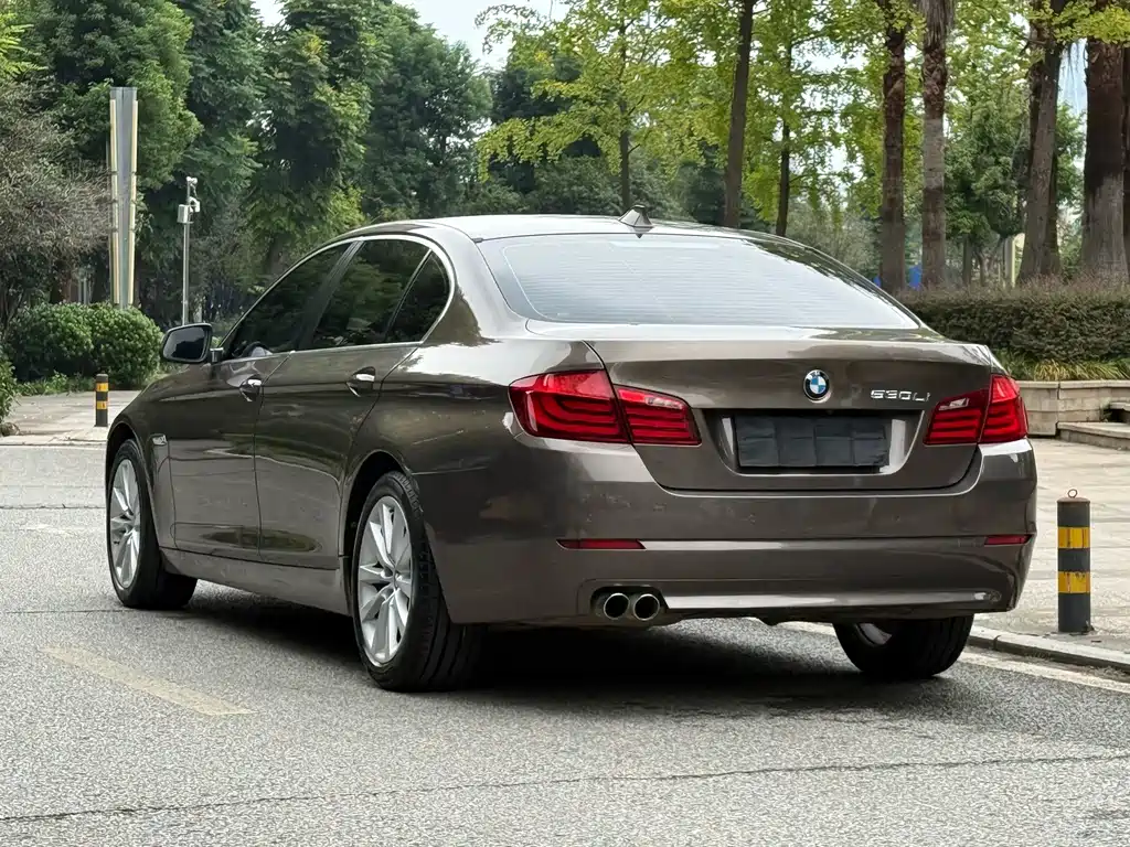 BMW 5 Series — миниатюра 5