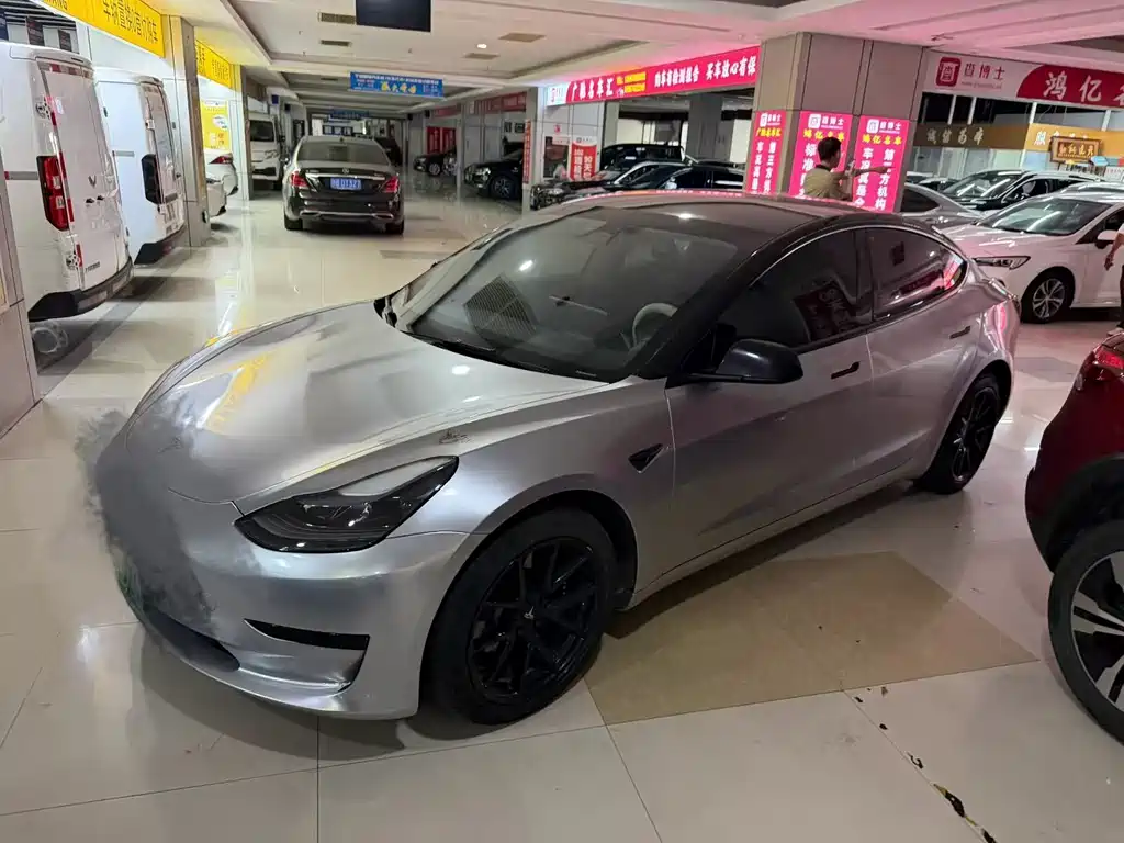Tesla Model 3 2021