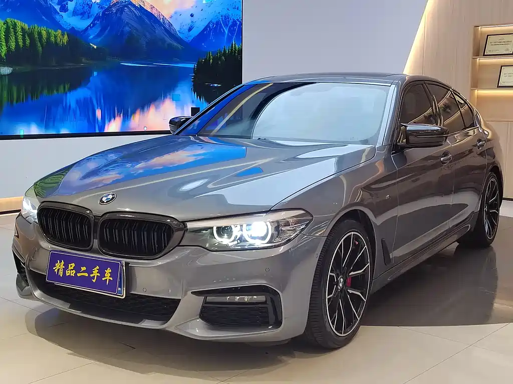 BMW 5 Series (Import) 2019