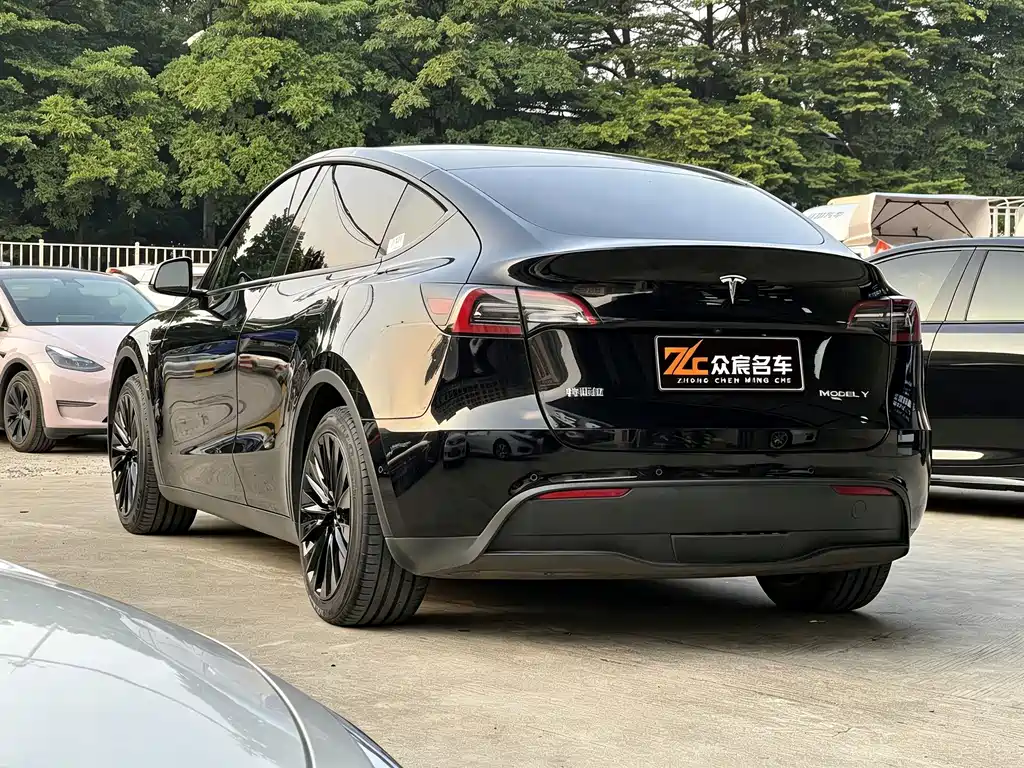 Tesla Model Y — миниатюра 3
