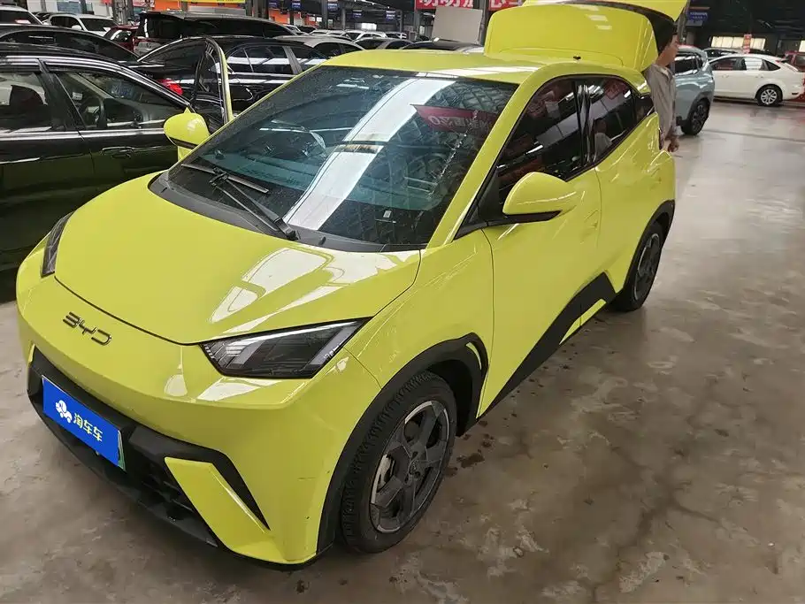Byd Seagull 2023