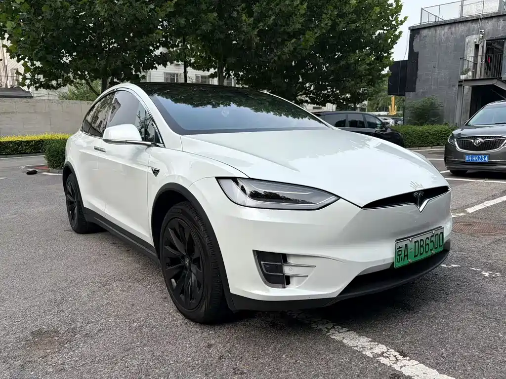 Tesla Model X 2017 Model X 100D