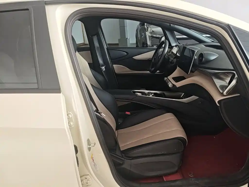 BYD Dolphin — миниатюра 25