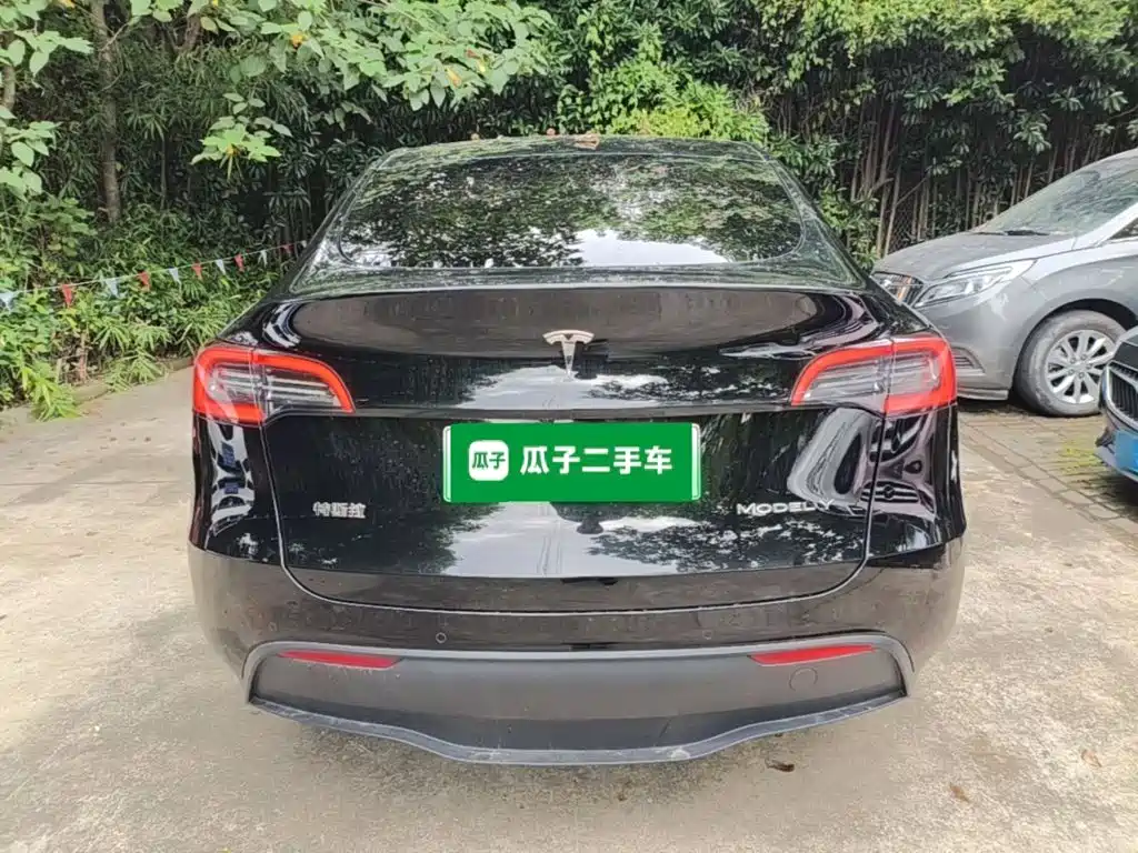 Tesla Model Y — миниатюра 6