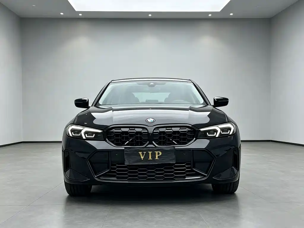 BMW 3 Series — миниатюра 2