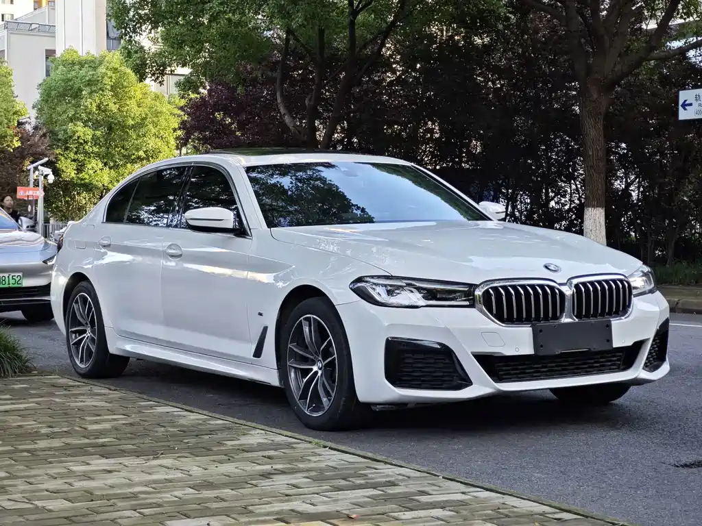 BMW 5 Series — миниатюра 3