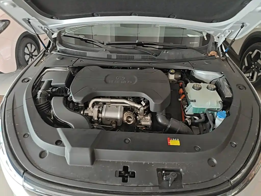 Baojun Xiangjing — миниатюра 20