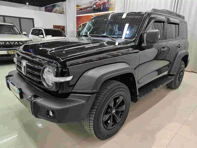 2024 TANK 300