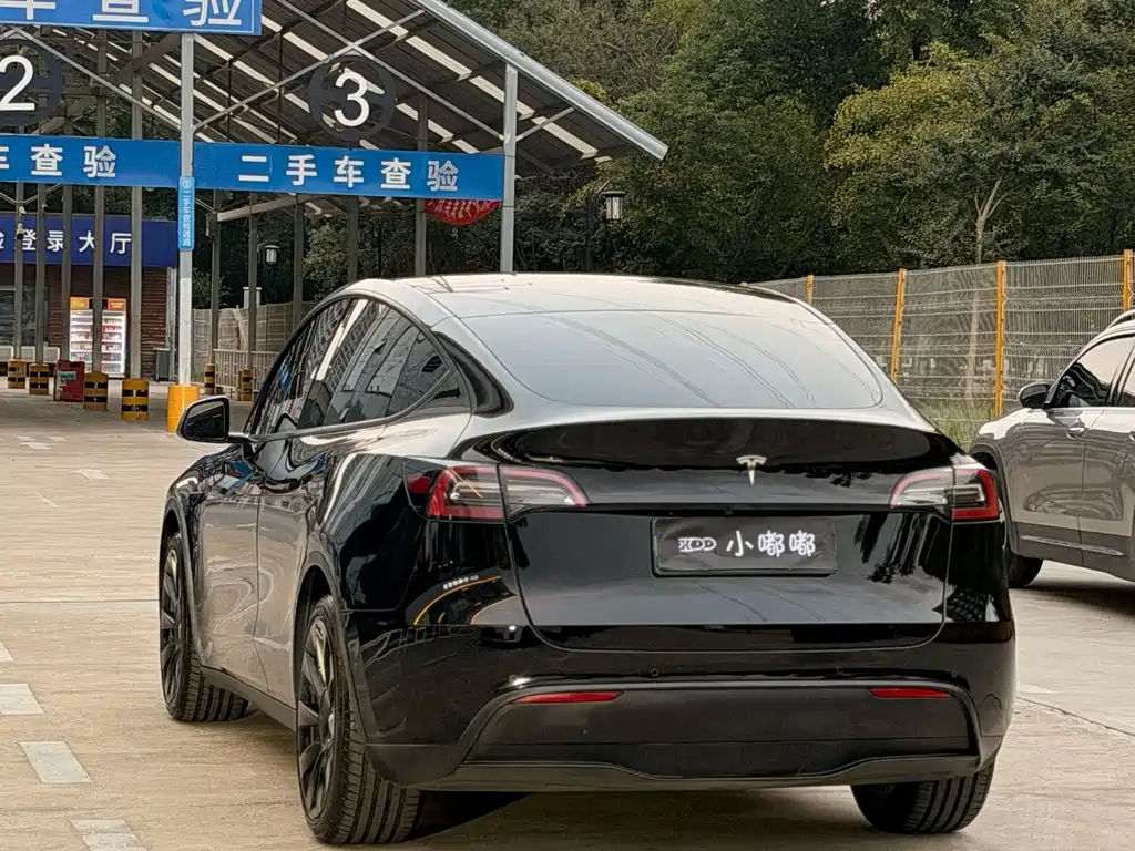 Tesla Model Y — миниатюра 8