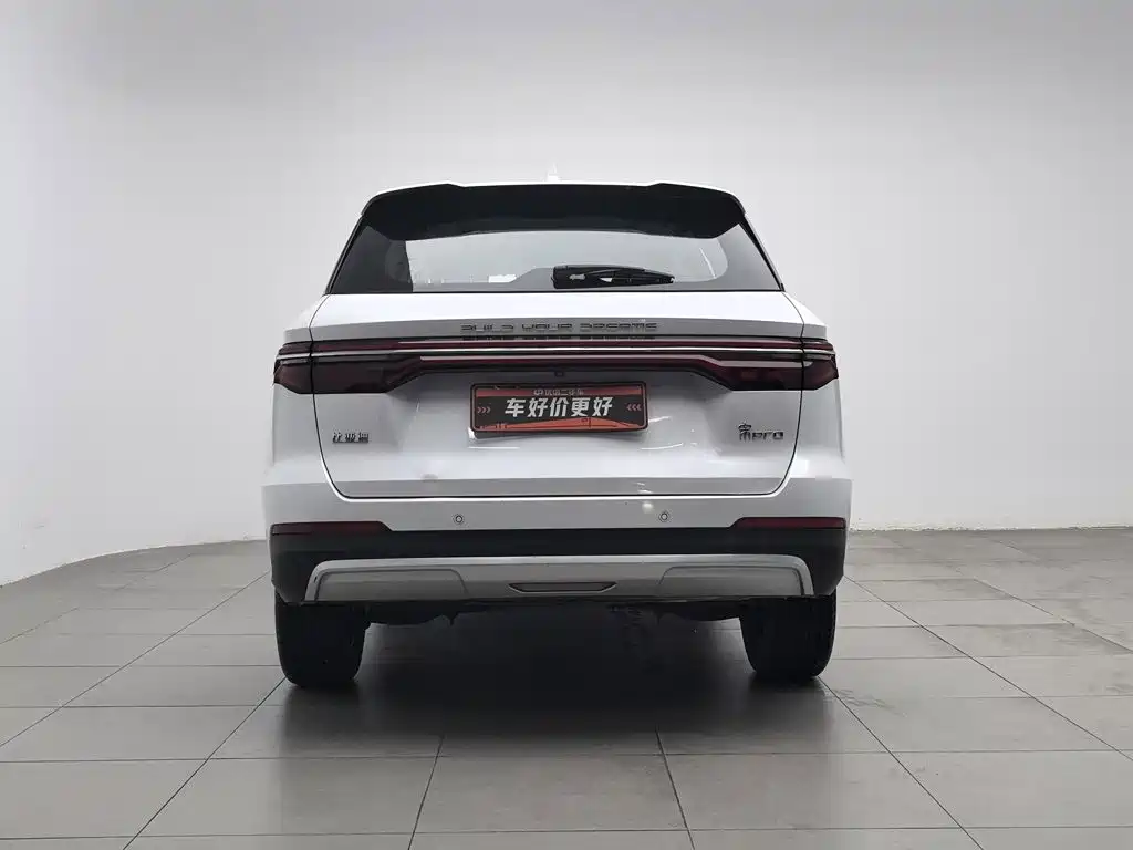 BYD Pro — миниатюра 4