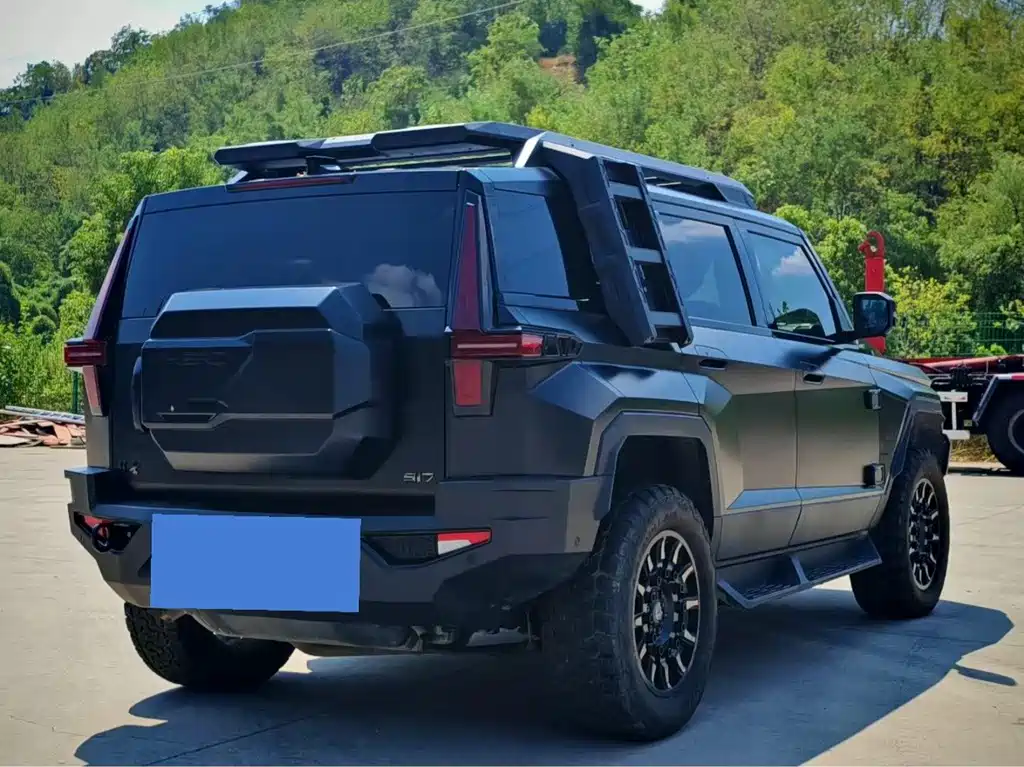Mengshi Mengshi 917 — миниатюра 9