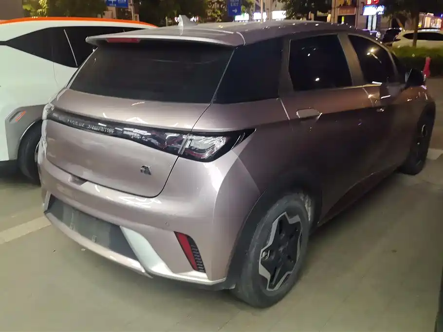 BYD Dolphin 2021 405km Freedom