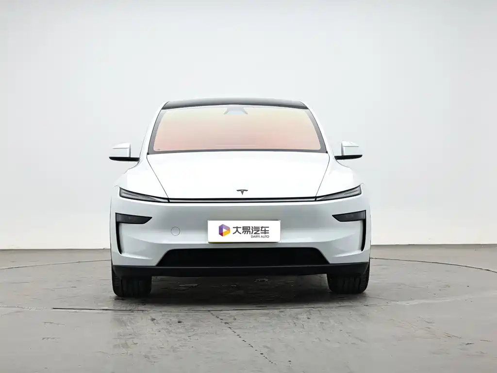 Tesla Model Y L — миниатюра 2