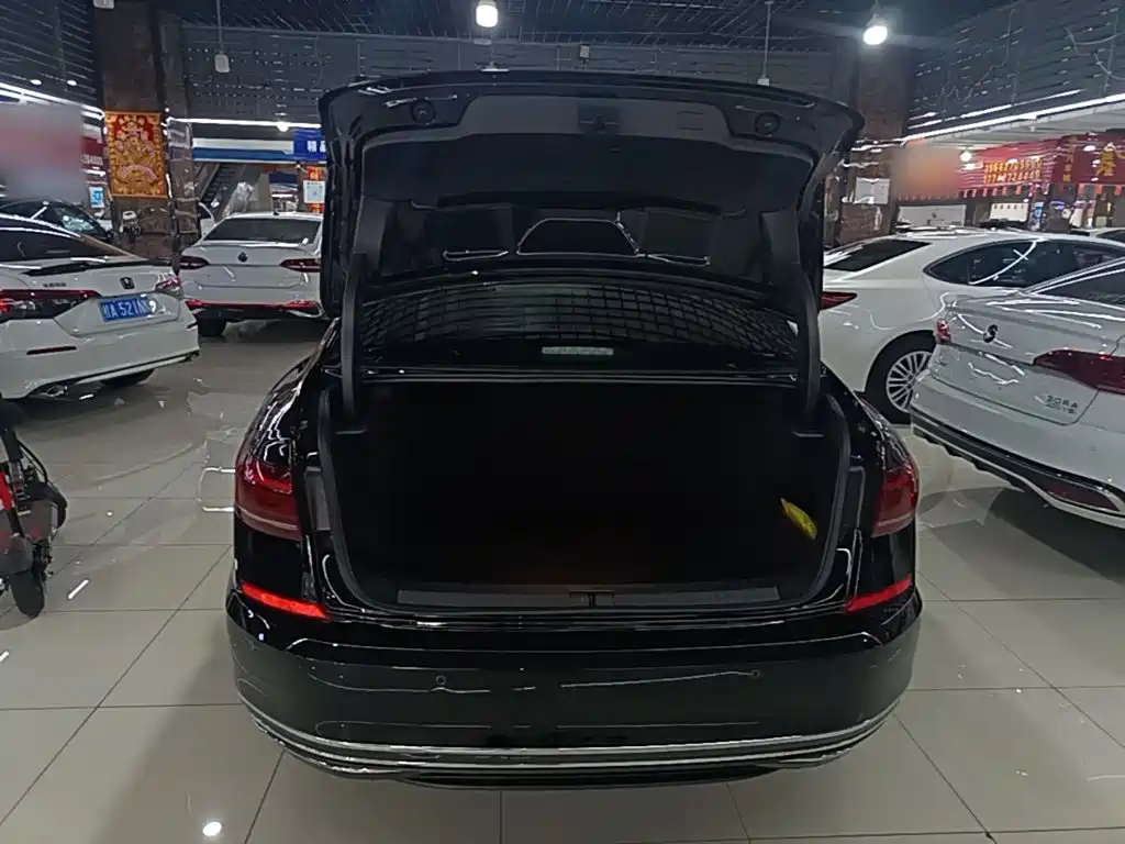Volkswagen Passat — миниатюра 19