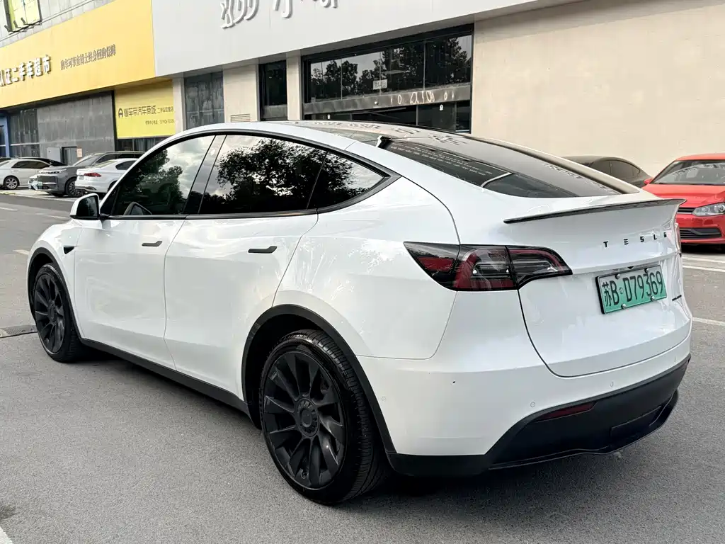 Tesla Model Y — миниатюра 3
