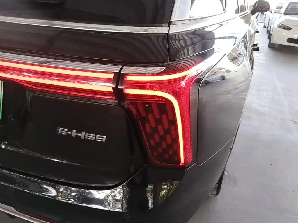 Hongqi Hongqi E-HS9 — миниатюра 8