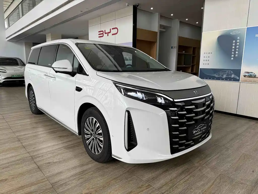 BYD Xia - фото 3
