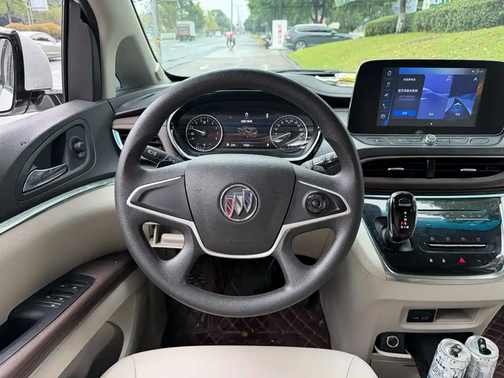 Buick GL8 — миниатюра 13