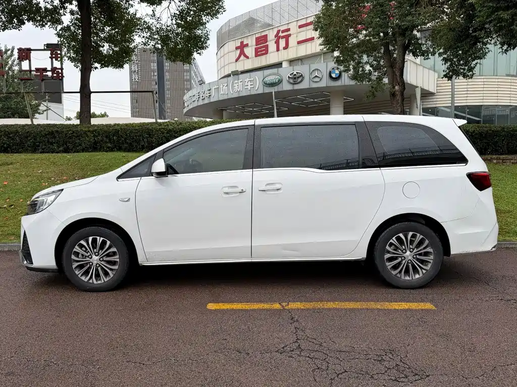 Buick GL8 — миниатюра 3