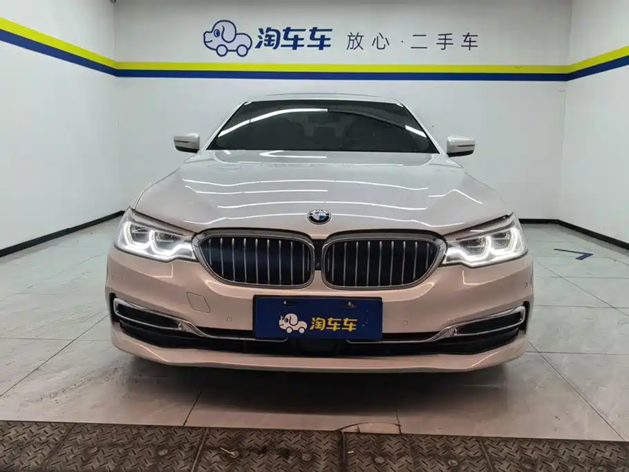 BMW 5 Series 5 2020 530Li Premium Luxury