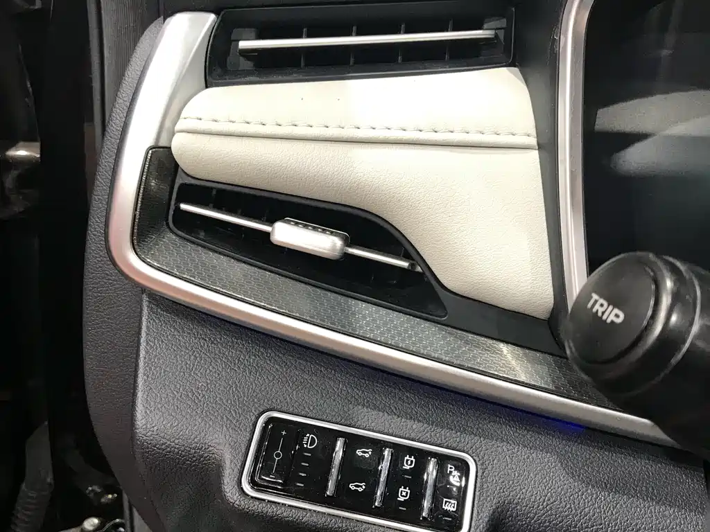 Weltmeister WEIMA EX5