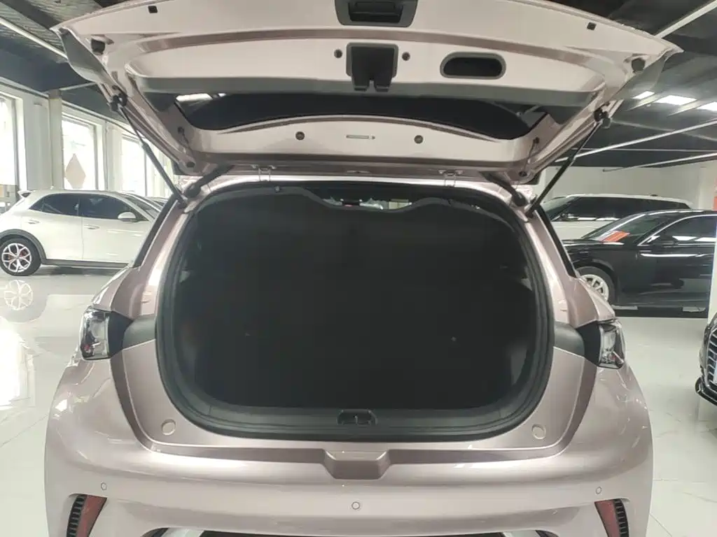 BYD Dolphin — миниатюра 19