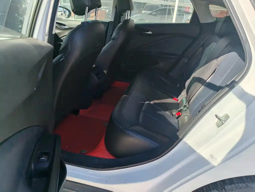 BUICK SLIGHTLY BLUE 6