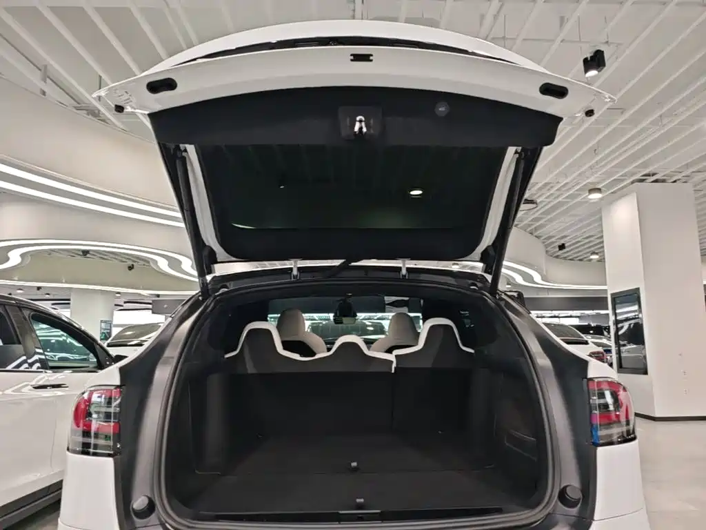 Tesla Model X — миниатюра 19