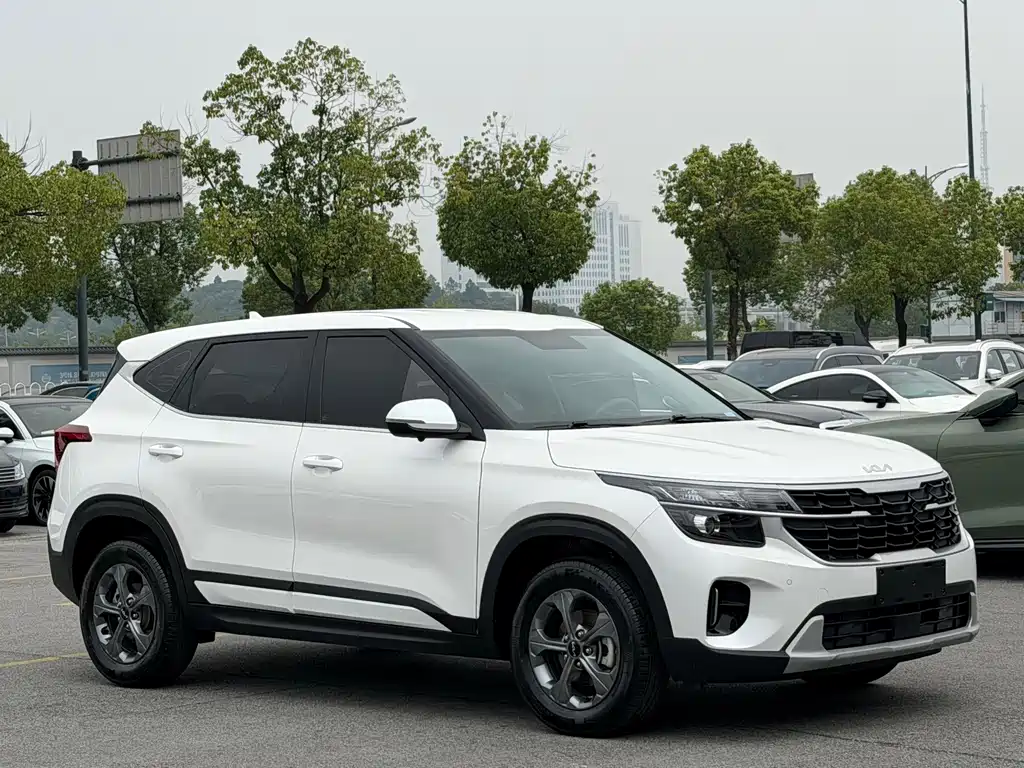 Kia Seltos — миниатюра 2