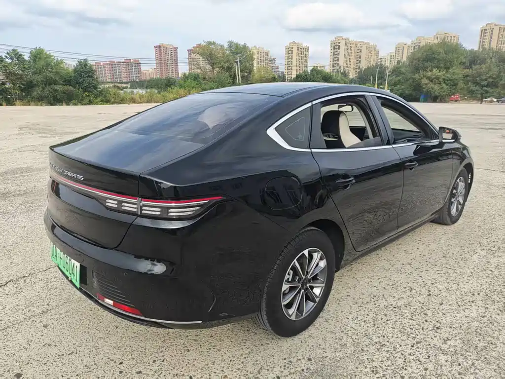 BYD Destroyer 05 — миниатюра 6