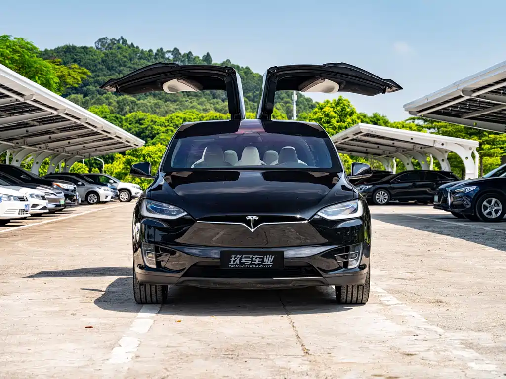 Tesla Model X — миниатюра 10