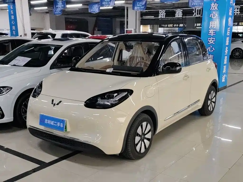 Wuling Binguo 2025 333km